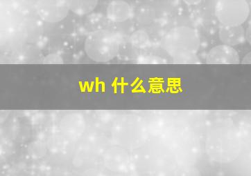 wh 什么意思